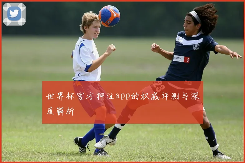 世界杯官方押注app的权威评测与深度解析